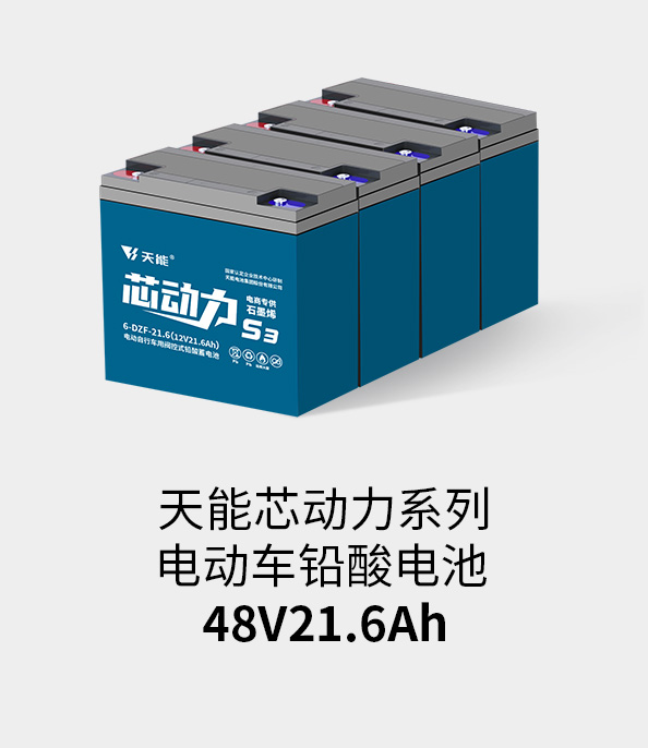 九游会J9(china)官方网站电池48v20ah