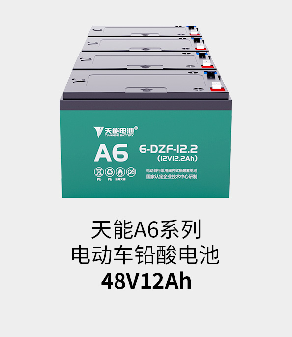 九游会J9(china)官方网站电池48v12ah